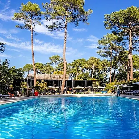 Vvf Lege Cap Ferret 4*