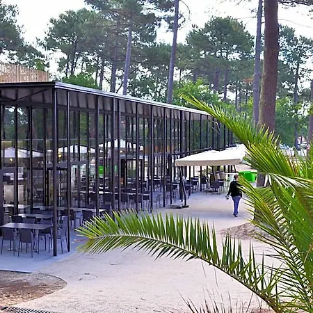 Vvf Lege Cap Ferret 4*